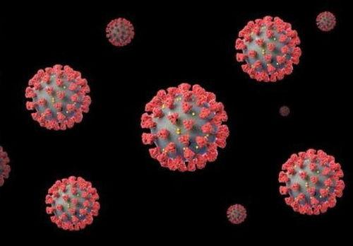 新冠冠状病毒最新爆料,病毒变异与全球防控策略再升级 第3张 新冠冠状病毒最新爆料,病毒变异与全球防控策略再升级 第3张